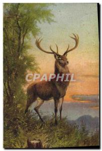 Old Postcard Deer Hunting