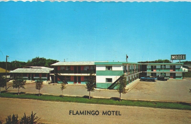 Canada Flamingo Motel Fairview Alberta Chrome Postcard 03.96