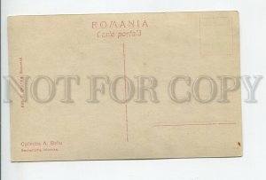 460640 Romania girls on an oxcart Vintage photo postcard