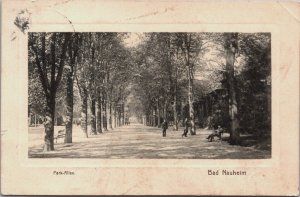 Germany Bad Nauheim Park Allee Vintage Postcard C176