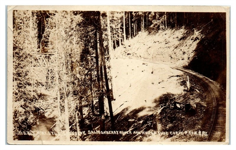 RPPC Pacific Railway & Navigation Co. Salmonberry River Trestle, OR Postcard 