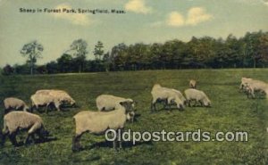 Sheep in Forest Park Farming Unused 