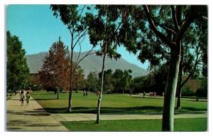 1960s University of California Riverside, Webber Hall Quad, Postcard