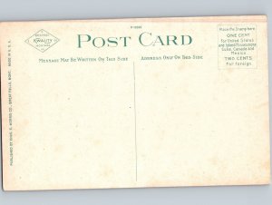 c1910 Petrified Tree Bridge Bad Lands Terry Montana MT Prairie County Postcard