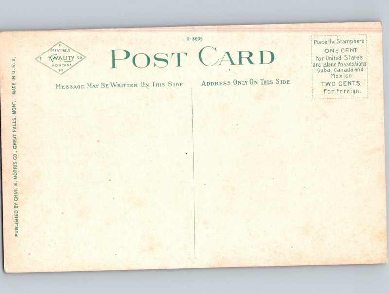 c1910 Petrified Tree Bridge Bad Lands Terry Montana MT Prairie County Postcard