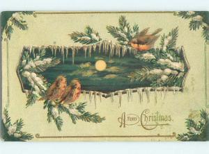 Pre-Linen christmas CUTE BIRDS SITTING ON FROZEN PINE BRANCHES HL0392