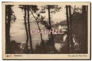 Old Postcard Treboul View from Bois d & # 39lsis