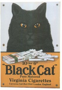 Black Cat cigarettes advertising postcard