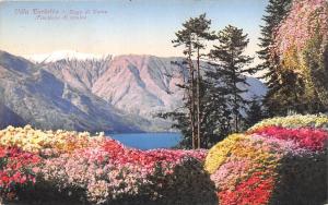 BR43191 Villa Carlotta lago di como flwures flowers   Italy