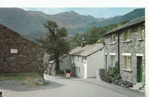 Cumbria Postcard - Yew Tree Ham and Egg Restaurant, Seatoller, Honister - 10603A