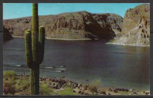 Arizona, Canyon Lake - Popular Resort Area - [AZ-249]