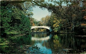 White Bridge Vanderbilt Estate Hyde Park New York NY Postcard