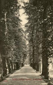 UK - England, Cambridge. Trinity College Avenue