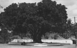 Java Indonesia birds eye view on the Alun-Alun real photo pc Y14659