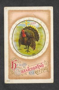 Vintage Embossed Thanksgiving Postcard Turkey!