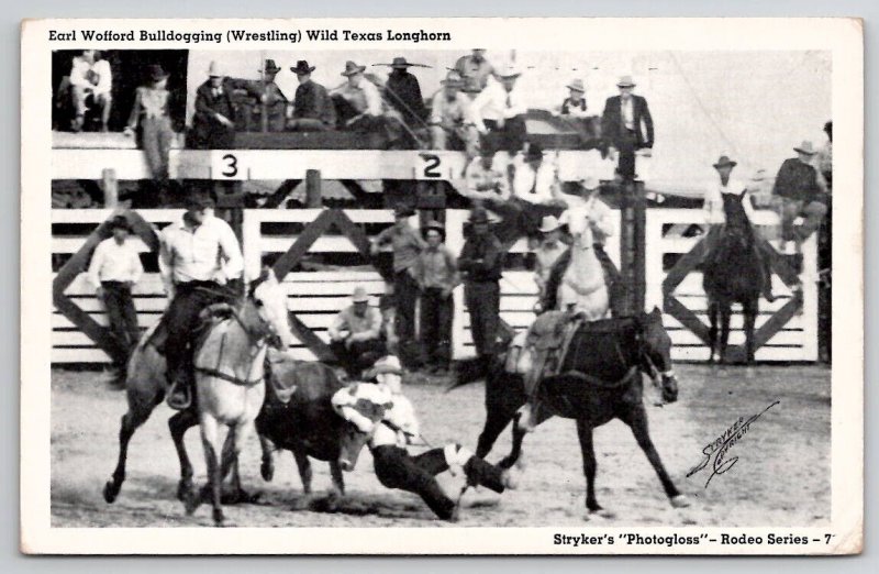 Stryker Rodeo Earl Wofford Bulldogging Wild Texas Longhorn Postcard B45