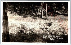 c1930s Rapid City, SD RPPC Cute Wild Deer Doe Buck Real Photo Rise Adorable A164