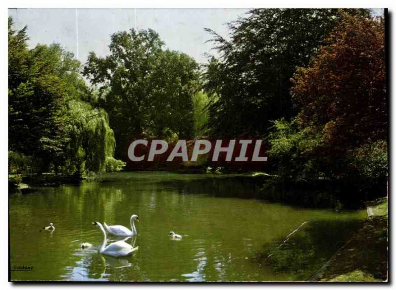 Modern Postcard Cambrai Nord Public Garden Lake swans