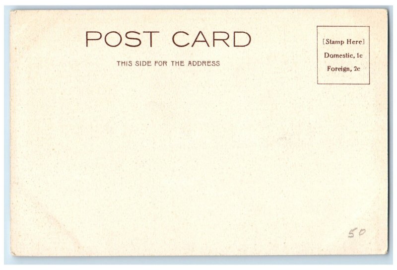c1905 Mammoth Hot Springs Yellowstone Park Haynes Photo Unposted Postcard