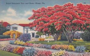 Royal Poinciana Tree And Home Miami Florida 1946