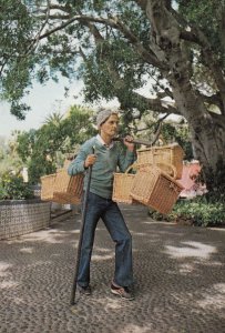 Madeira Funchal Lunch Baskets Man Basket Maker Spain Crafts Postcard