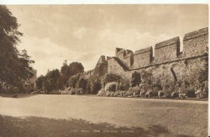 Oxfordshire Postcard - City Wall - New College - Ref TZ3105