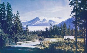 USA Winding Road To Mendenhall Alaska Chrome Postcard 08.20