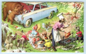 Mainzer DRESSED CATS Kittens PICNIC BEARS Anthropomorphic Belgium #4981 Postcard