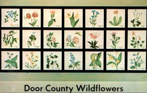 Wisconsin Door County Wildflowers