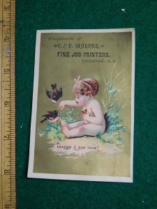 1870s-80s C & H Warner Fine Job Printers Cherub Birds Victorian Trade Card F36