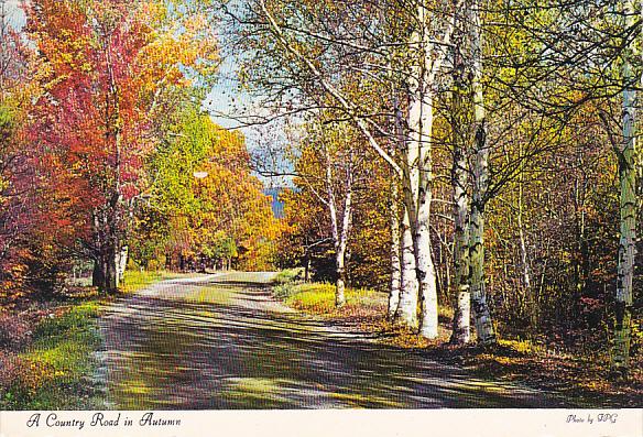 Canada A Country Road In Autumn Quebec