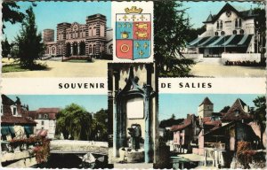 CPA SALIES-de-BEARN Scenes (1142608)