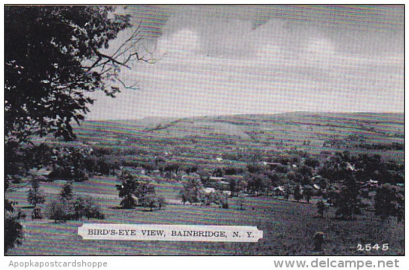 Birds Eye View Bainbridge New York Dexter Press