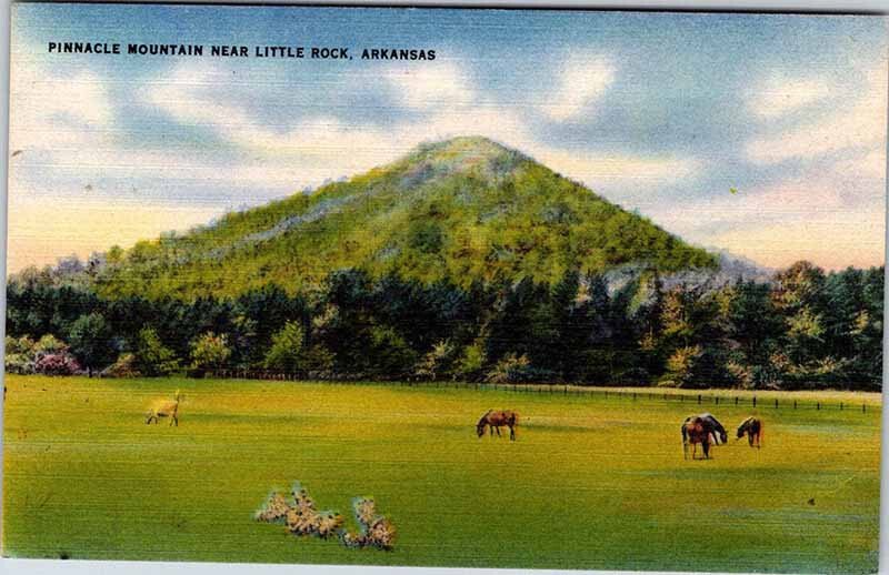 Postcard MOUNTAIN SCENE Little Rock Arkansas AR AK4265