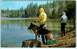 JENKS LAKE, Barton Flat Area CA ~ SPRING FISHING German Shepherd c1960s Postcard