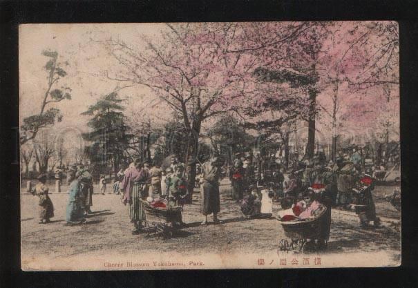 061080 JAPAN Cherry Blossom Yokohama park Vintage PC