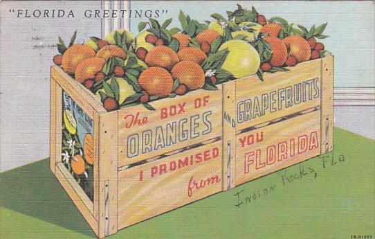 Florida Greetings Box Of Oranges and Grapefruits