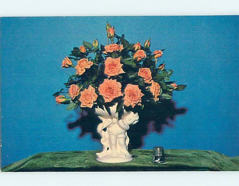 Pre-1980 Postcard Ad MOORE MINIATURE ROSES NURSERY Visalia California CA HM4381