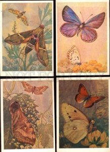 021862 BUTTERFLIES Latin Names Collection of 16 rus cards #5