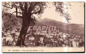 Old Postcard Grasse View between Olives