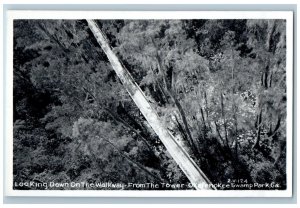 Waycross GA RPPC Photo Postcard Looking Down Okefenokee Swamp Park c1950's