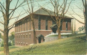 Tilton New Hampshire Tilton Seminary Alumni Gymasium Litho Postcard Unused