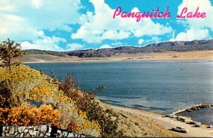 Utah Birds Eye View Panquitch Lake