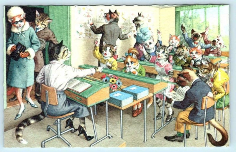 Mainzer DRESSED CATS CLASSROOM Teacher Students Parents  #4964 Belgium Postcard