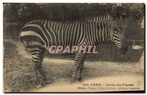 Old Postcard Paris Garden plants Equus Zebra Zebra Southern Africa