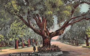 Orange Grove Ave. Pasadena California  