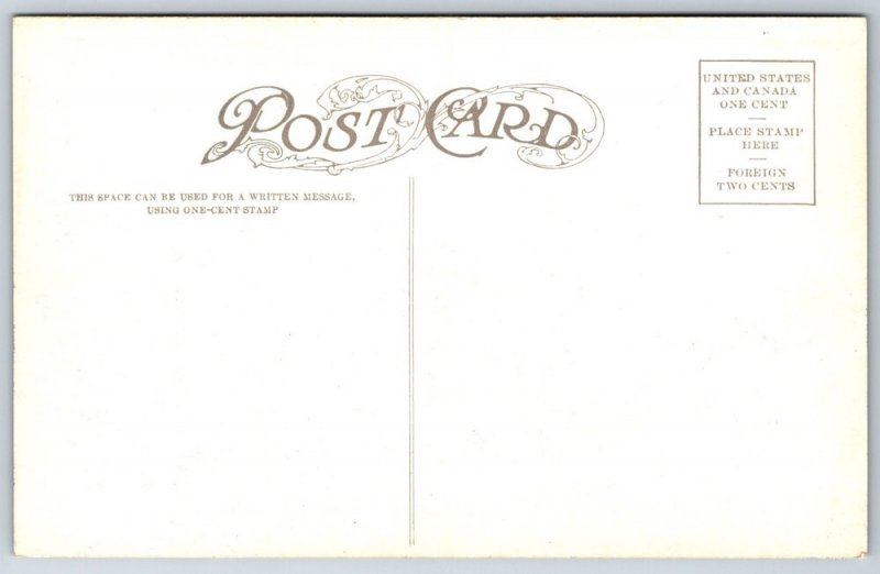 Cody Wyoming~Sunlight Mining District Mountains & Forest Scenery~Vtg Postcard