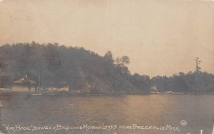 DS1/ Greenville Michigan RPPC Postcard Hog Back Monoka Baldwin Lake 148