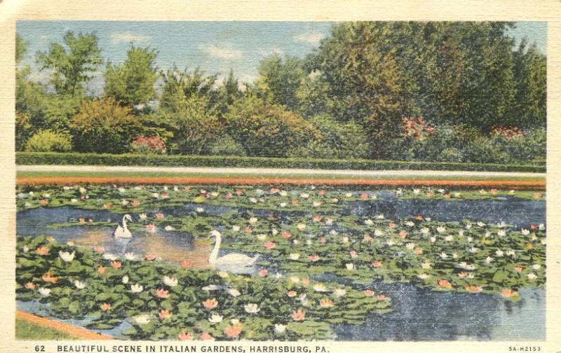 Swans in Italian Gardens - Harrisburg PA, Pennsylvania - pm 1941 - Linen