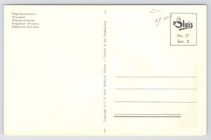 Animal~Bird~Napoleon Weaver~1950s Postcard